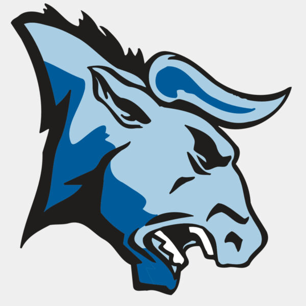 AR BULL 20 RC Thumbnail