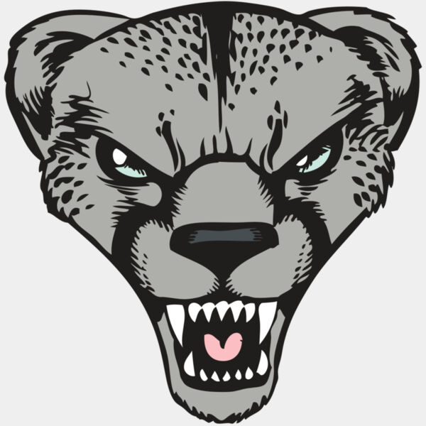 BAW CHEETAH 15 RC Thumbnail