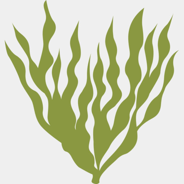 Sea Plants 5 Thumbnail