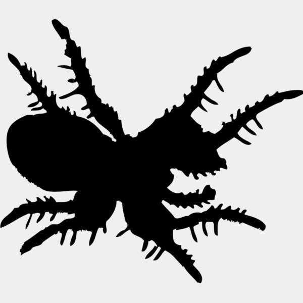 Spider Silhouette 23 Thumbnail