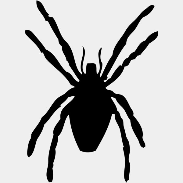 Spider SIlhouette 20 Thumbnail