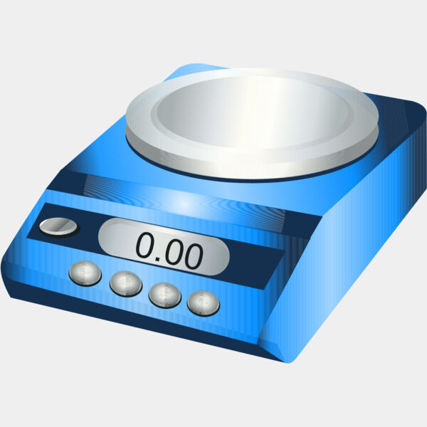Electronic Scale Balance 1 Thumbnail