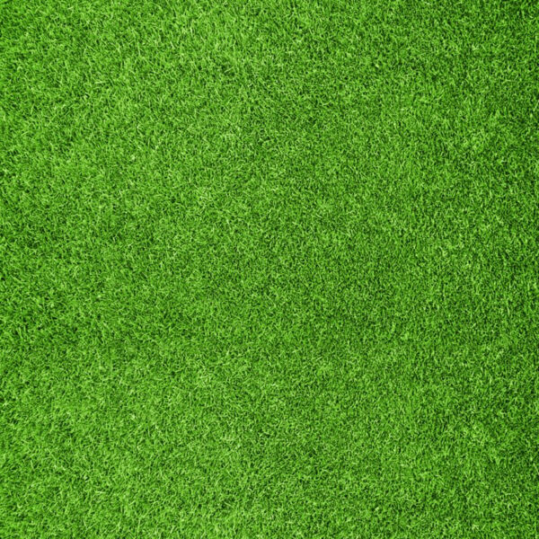 Grass Texture Background Thumbnail