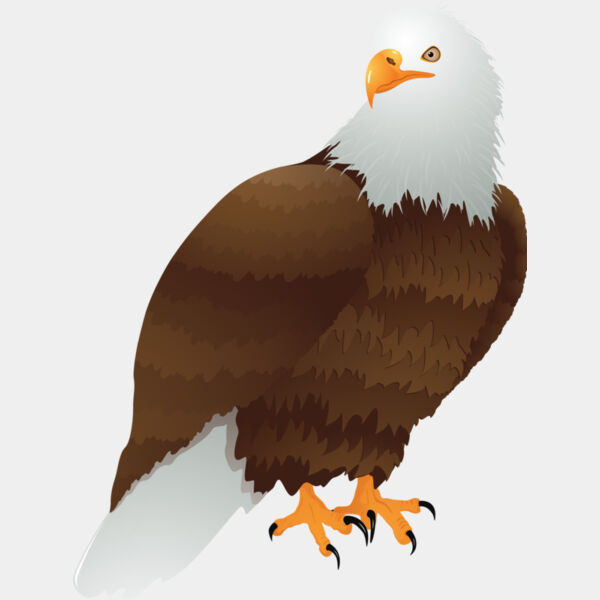 USA America Bald Eagle 2 Thumbnail